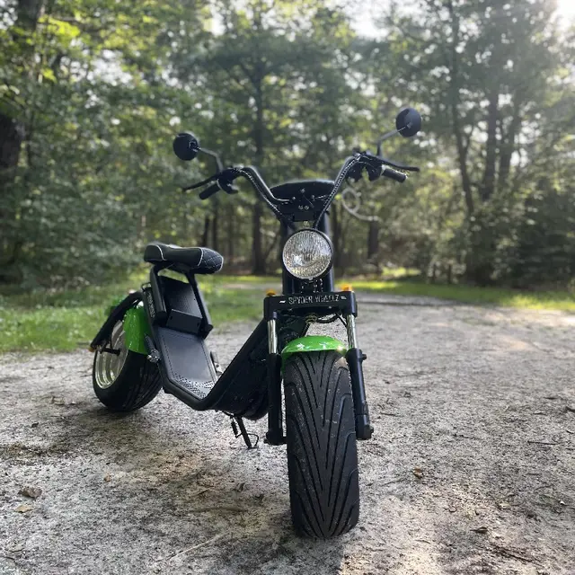 E-Chopper